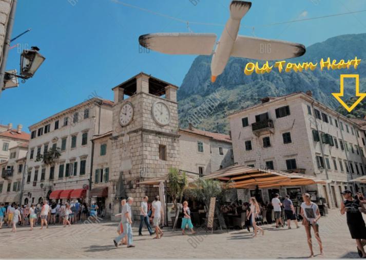 Old Town Heart Apartment Kotor Bagian luar foto